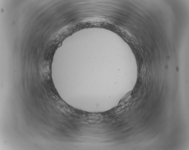 X0000085221062200704091926