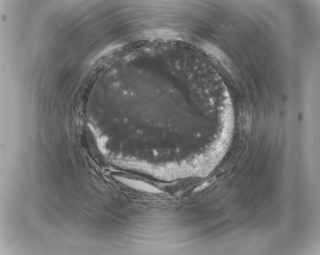 X0000085221063200704091926