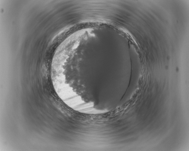 X0000085221064200704091926