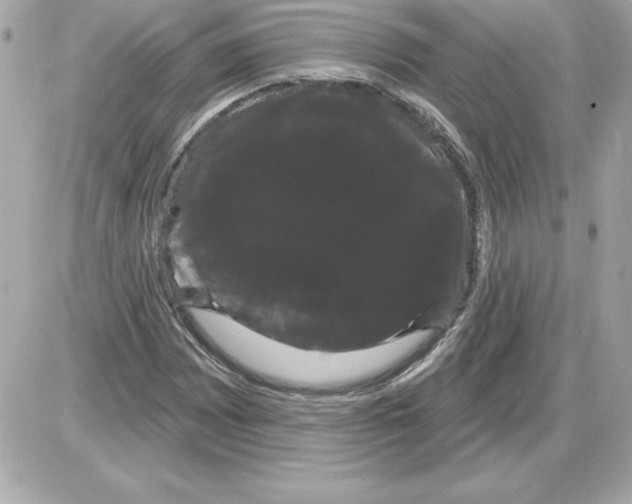 X0000085221065200704091926