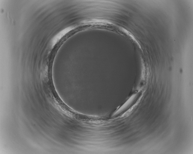 X0000085221066200704091926