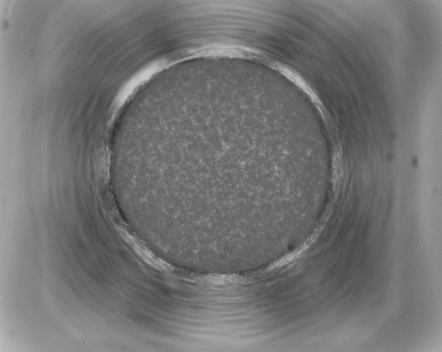 X0000085221067200704091926