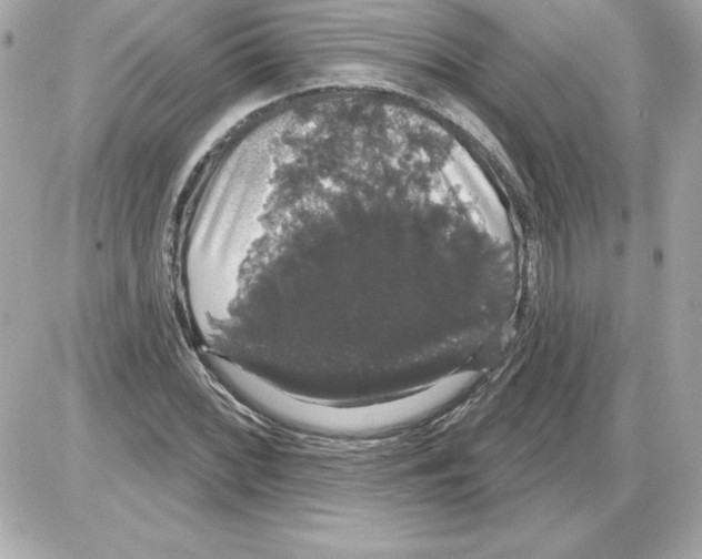 X0000085221068200704091926