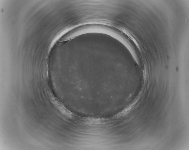 X0000085221069200704091926