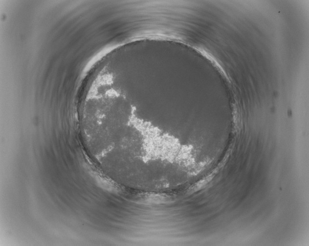 X0000085221070200704091926