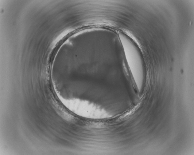 X0000085221071200704091926