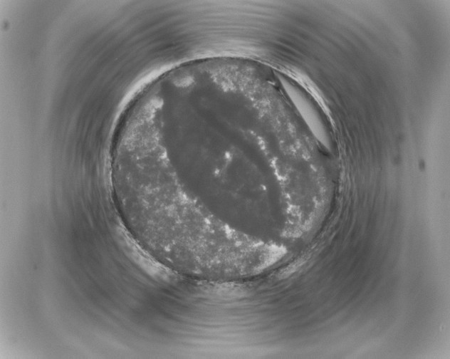 X0000085221072200704091926