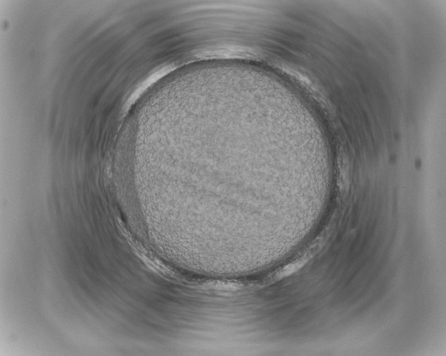 X0000085221073200704091926