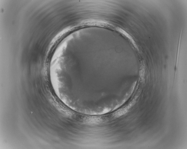 X0000085221074200704091926