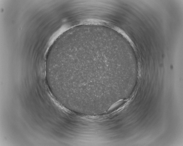 X0000085221075200704091926