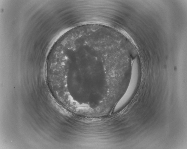 X0000085221076200704091926