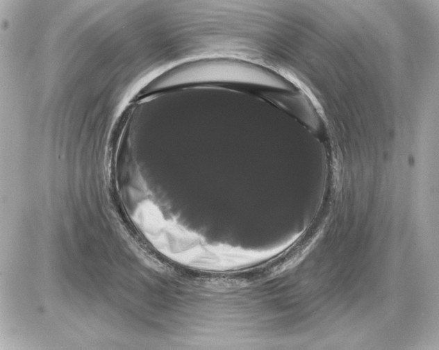 X0000085221077200704091926