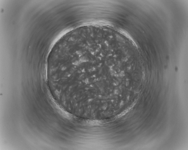 X0000085221079200704091926