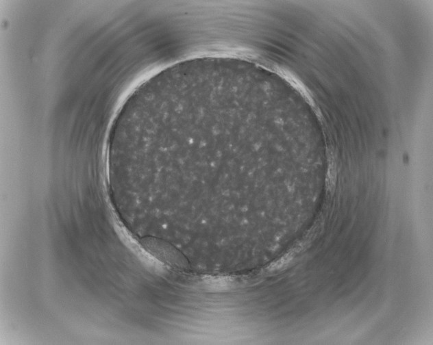 X0000085221080200704091926