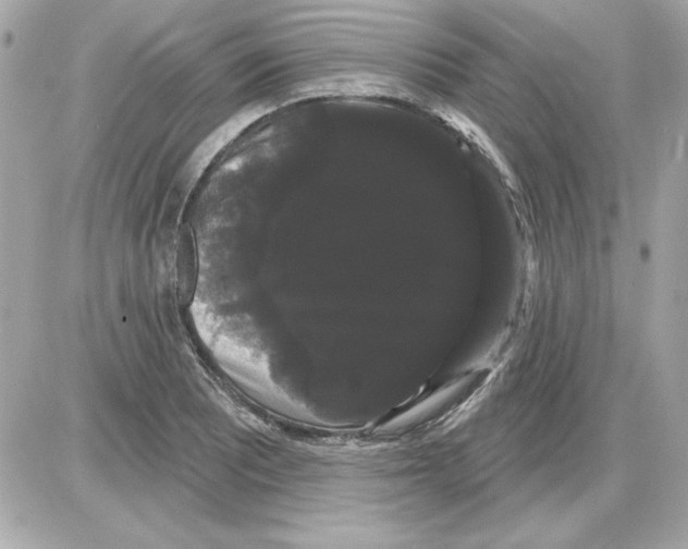 X0000085221081200704091926