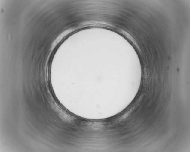 X0000085221082200704091926