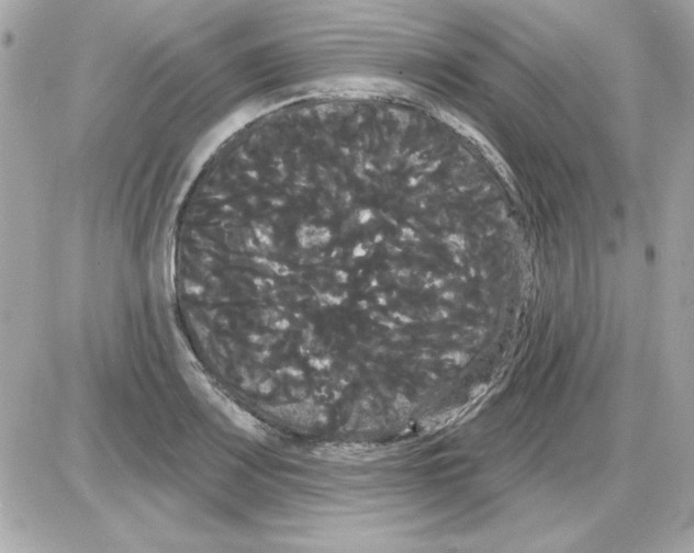 X0000085221083200704091926