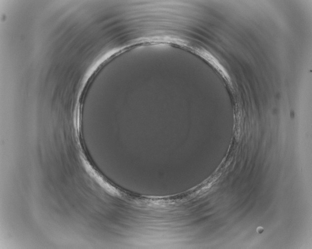 X0000085221084200704091926