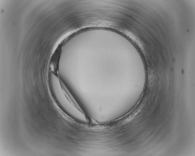 X0000085221085200704091926