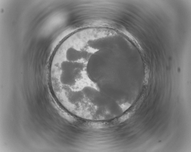 X0000085221086200704091926