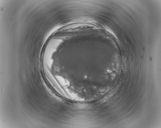 X0000085221087200704091926