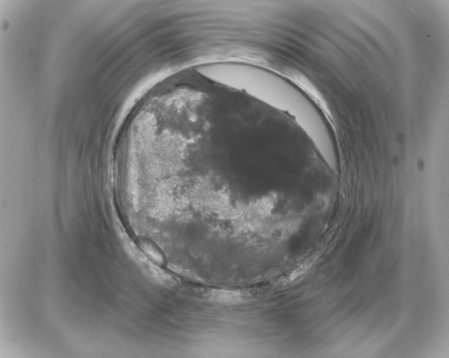 X0000085221088200704091926