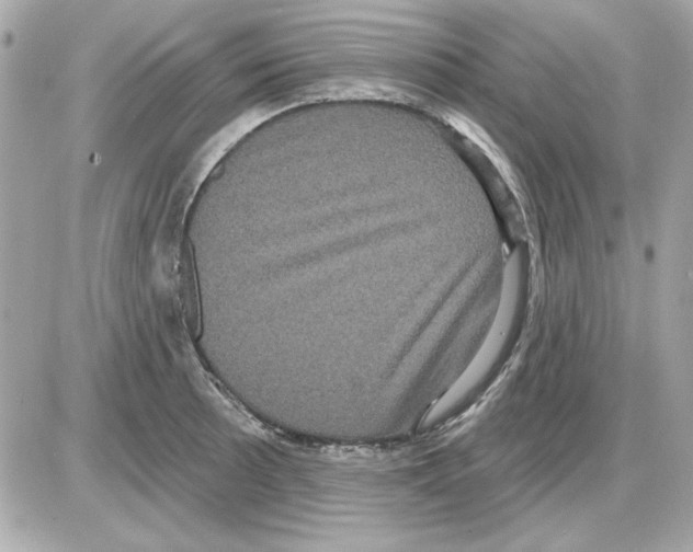 X0000085221089200704091926