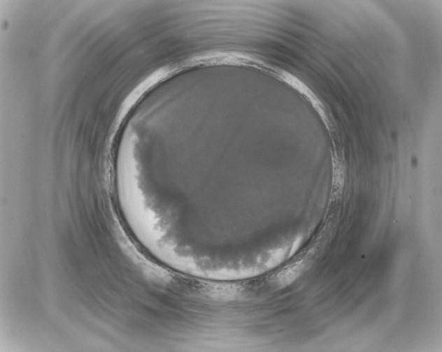 X0000085221090200704091925