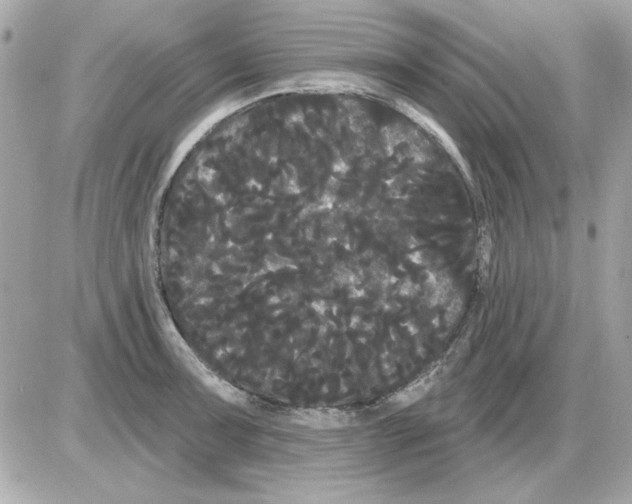 X0000085221091200704091925