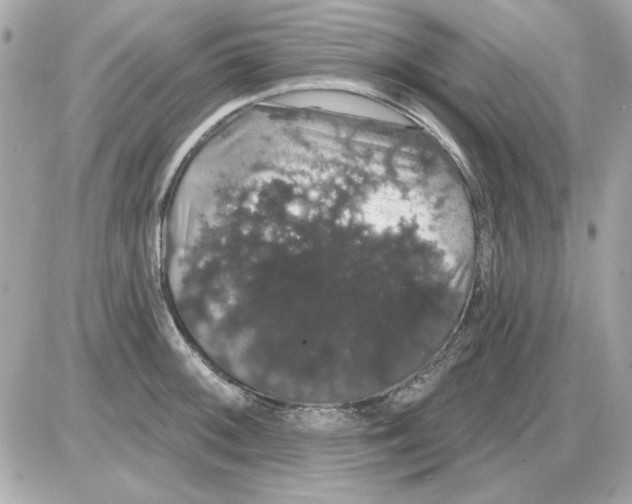 X0000085221092200704091925