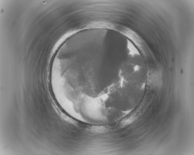 X0000085221094200704091925