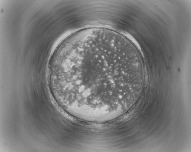 X0000085221096200704091925