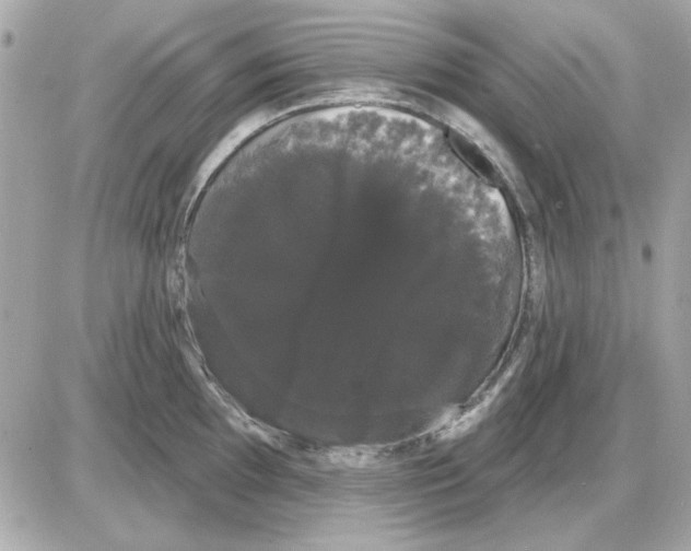 X0000085221097200704091925