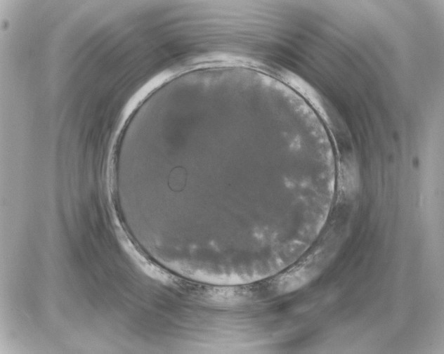 X0000085221098200704091925