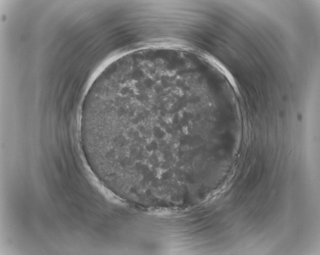 X0000085221099200704091925