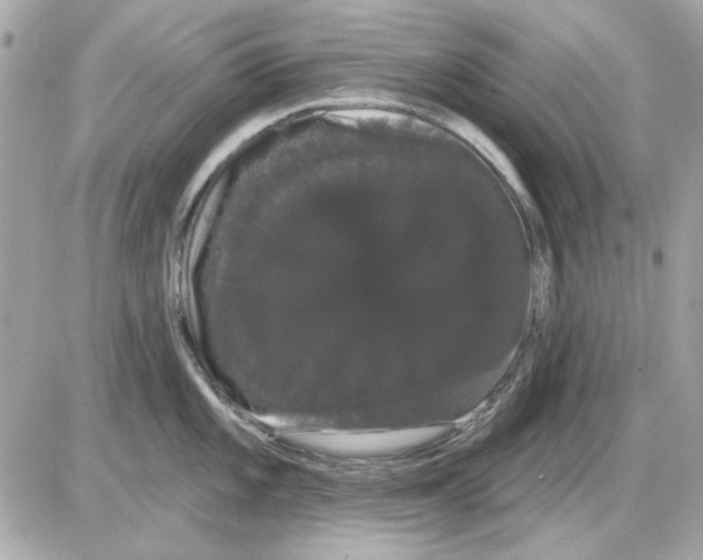 X0000085221101200704091925