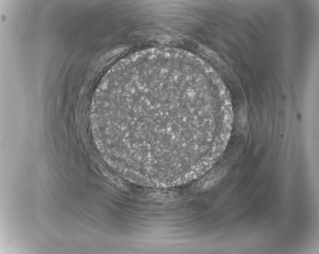 X0000085221105200704091924
