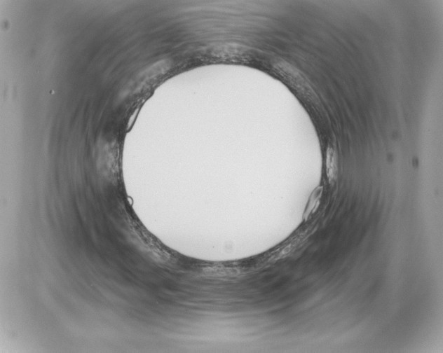 X0000085221107200704091925