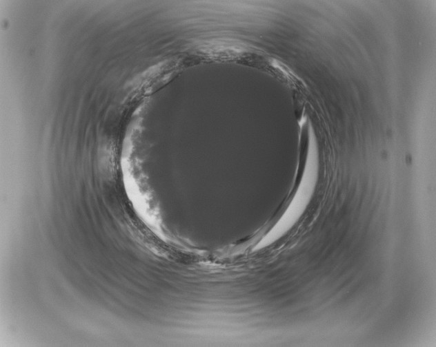 X0000085221108200704091925