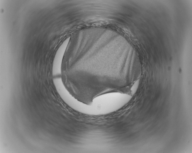 X0000085221109200704091925