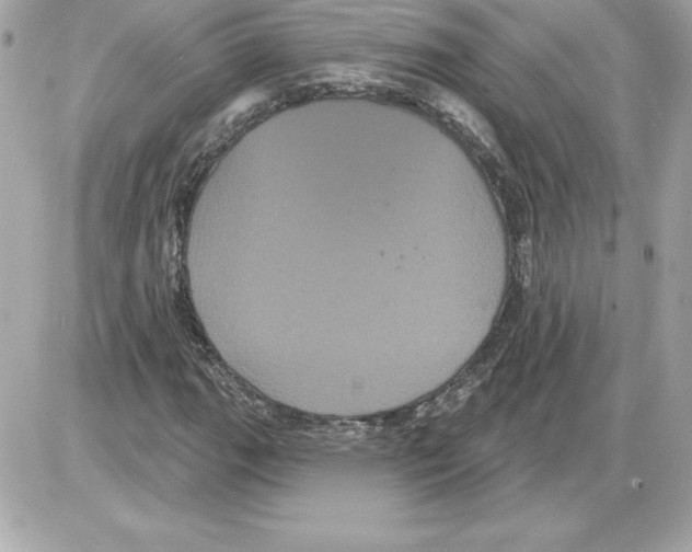 X0000085221111200704091925