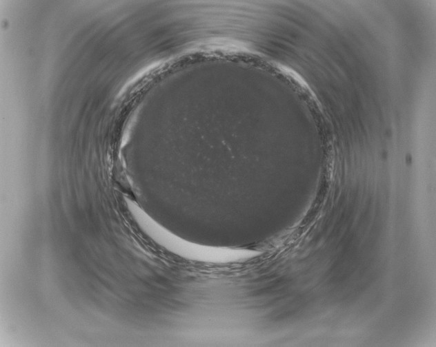 X0000085221112200704091925