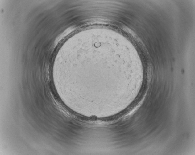 X0000085221113200704091925