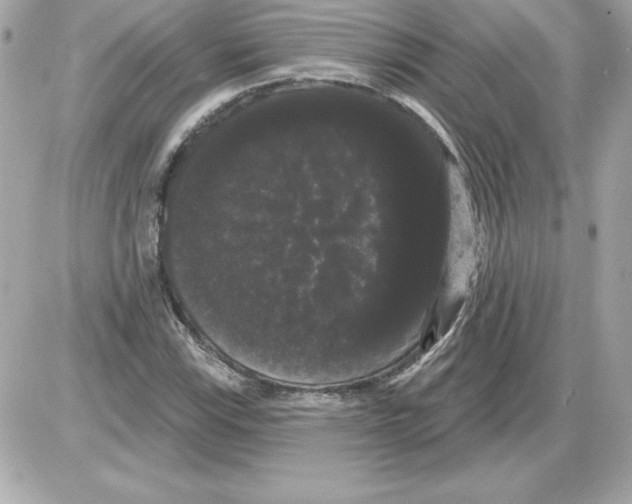 X0000085221115200704091925