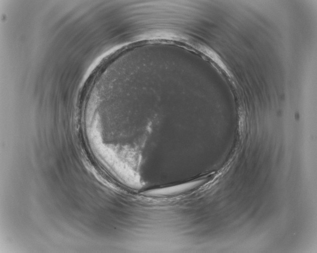 X0000085221116200704091925