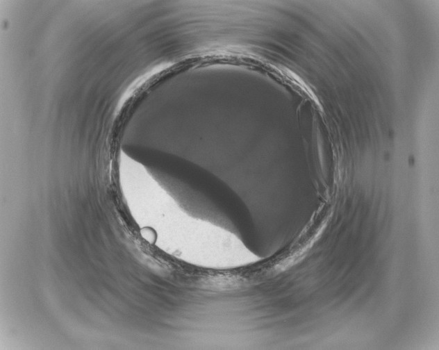 X0000085221117200704091925