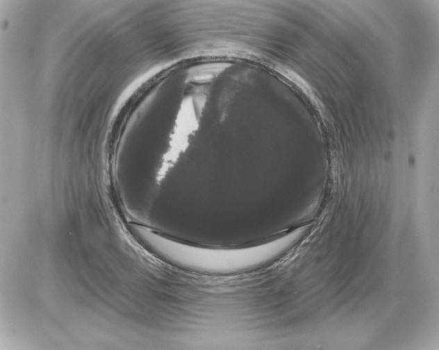 X0000085221120200704091925