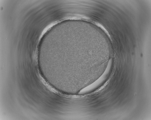 X0000085221122200704091925