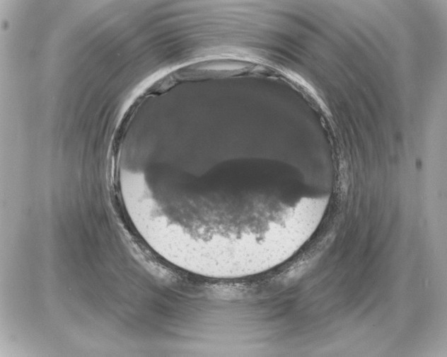 X0000085221125200704091925