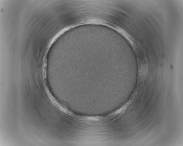 X0000085221126200704091925